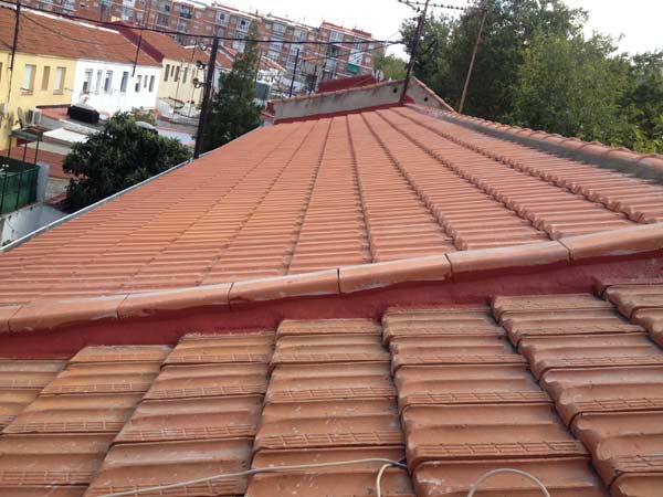 Reparar tejado madrid palomares en Madrid